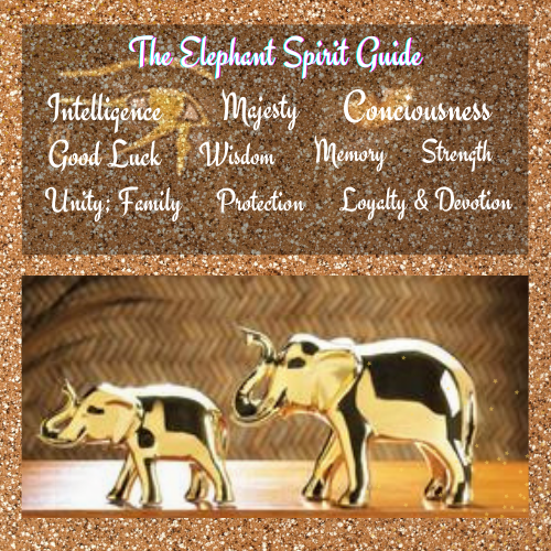 Elephant Spirit Guide