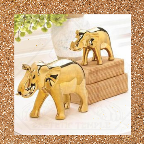 Elephant Spirit Guide