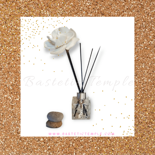 Reed Diffuser Kit (Healing Stone Combos Coming Soon!)