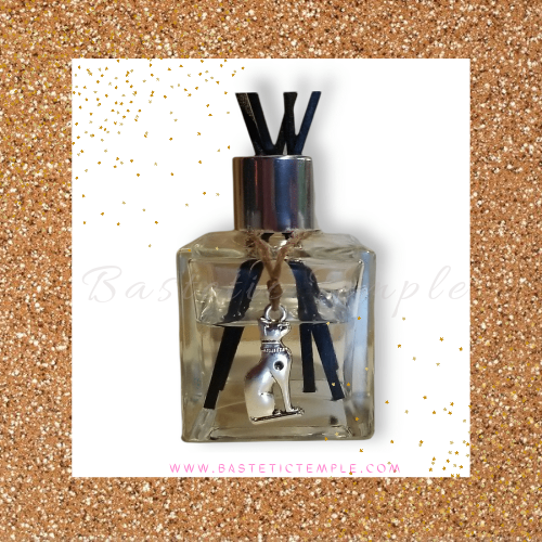 Reed Diffuser Kit (Healing Stone Combos Coming Soon!)