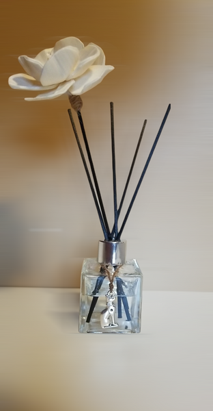 Reed Diffuser Kit (Healing Stone Combos Coming Soon!)